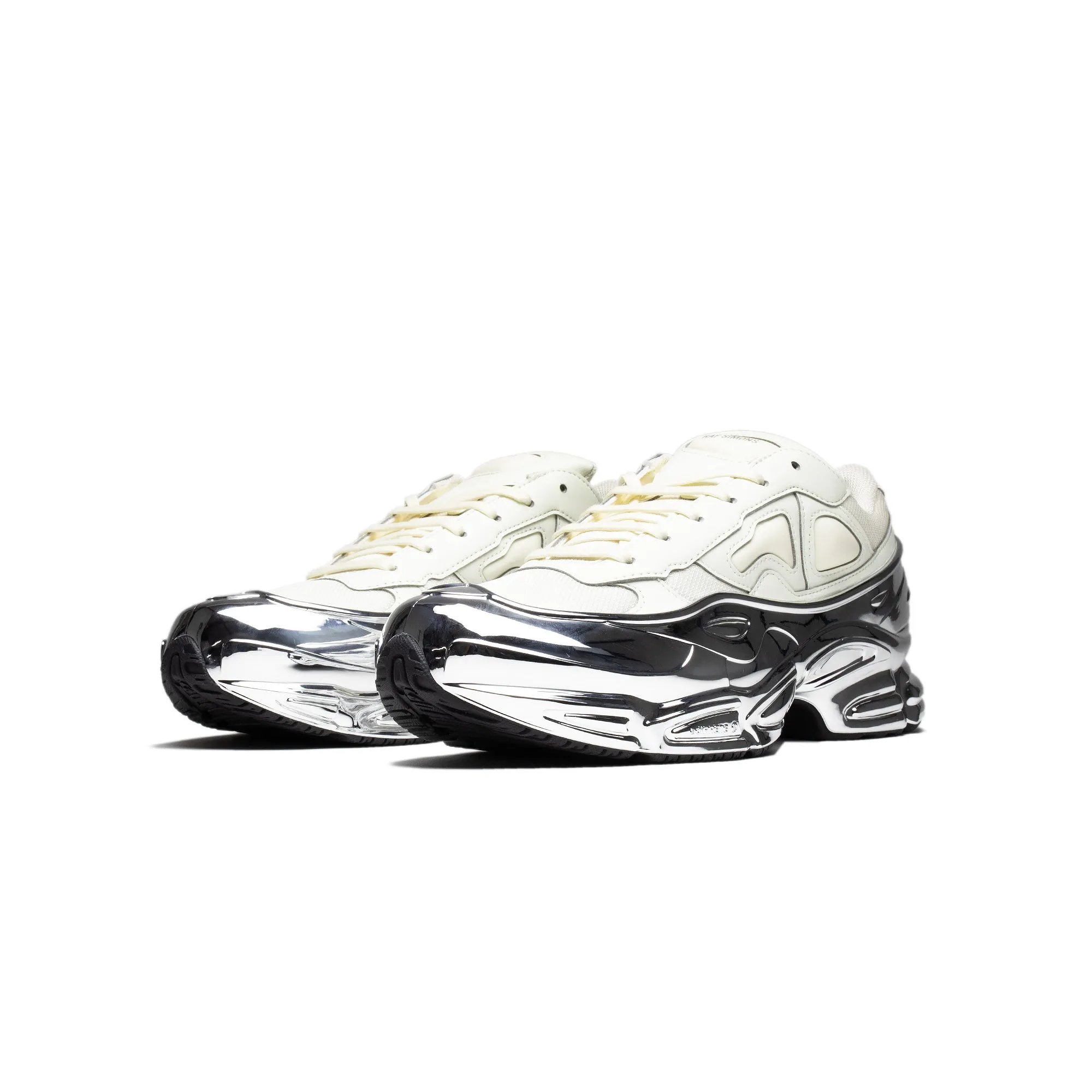 adidas by Raf Simons Ozweego [EE7945]