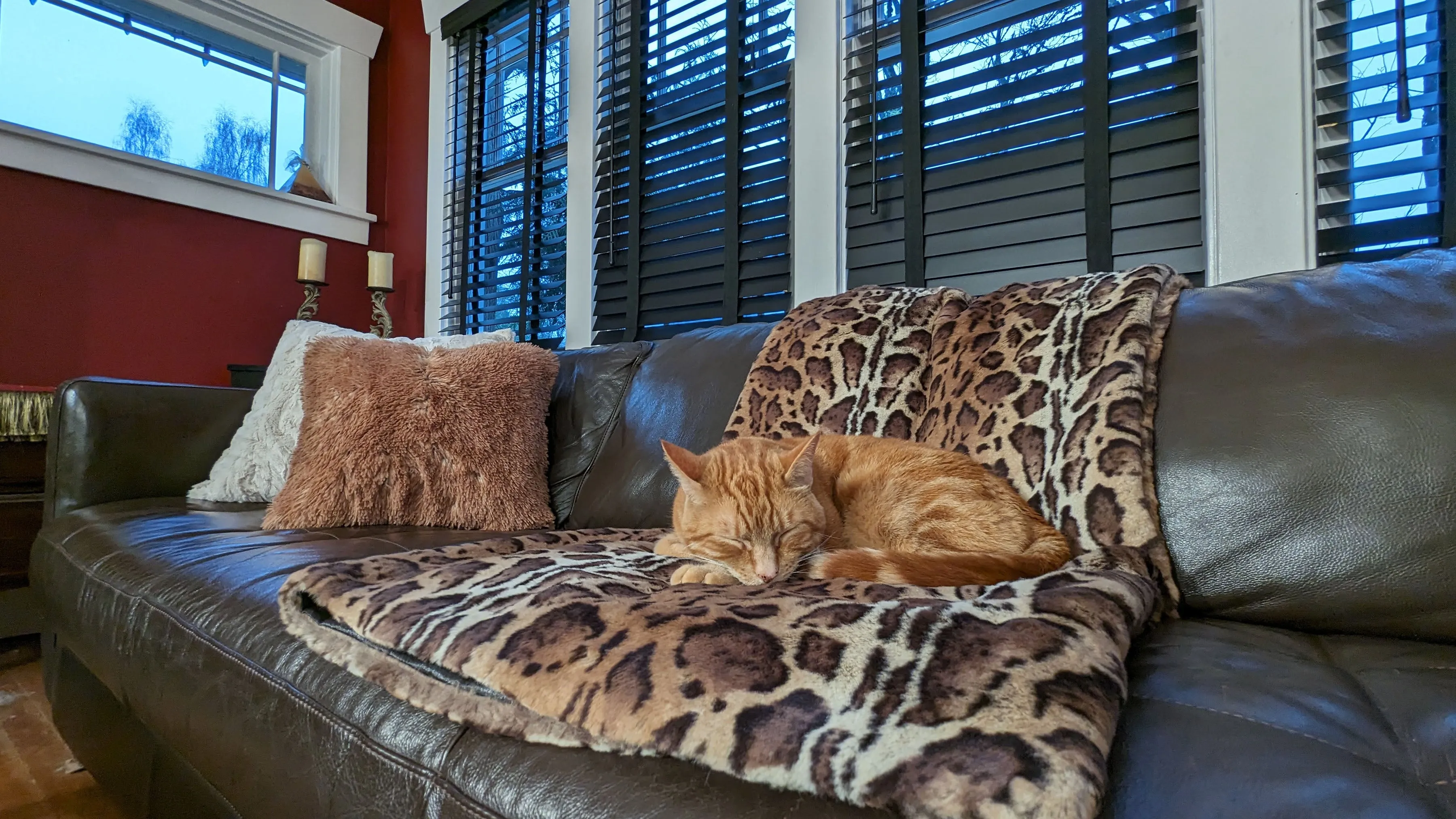 Faux Fur Throws - Tissavel Faux Fur in Ocelot