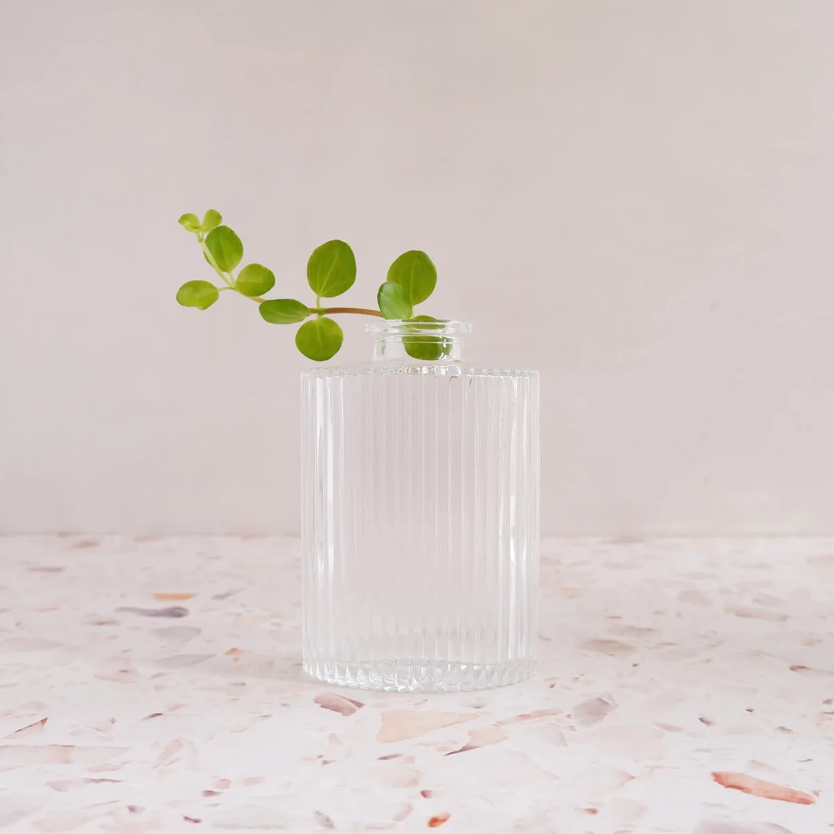 Glass Vase - Oval Ribbed
