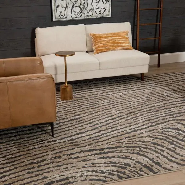 Rendition 92423 4545 Zeus Frost Grey Rug