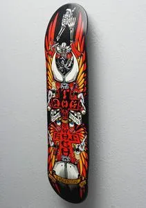 Sk8ology Single Display Bagged - Hang your Skate Deck