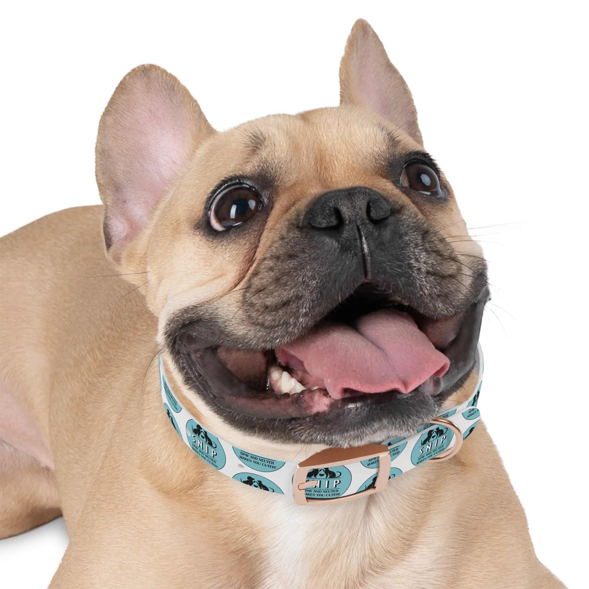 Snip Pattern - Dog Collar