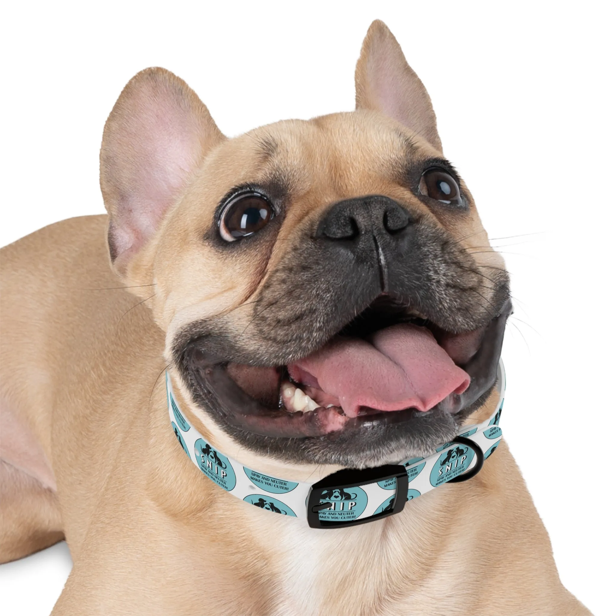 Snip Pattern - Dog Collar