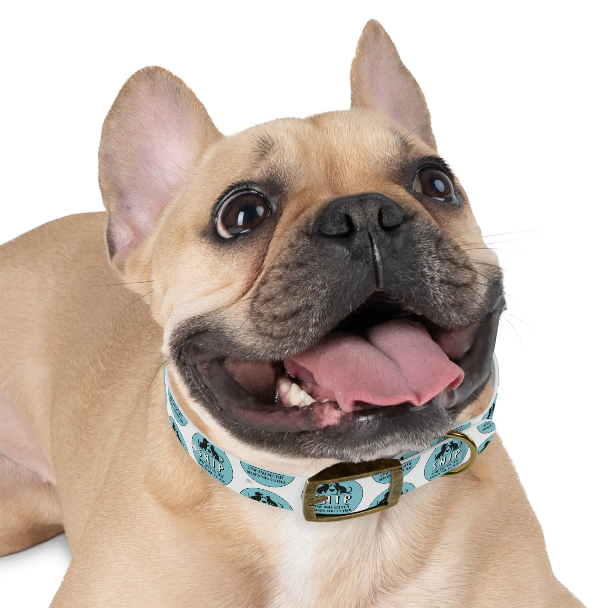 Snip Pattern - Dog Collar