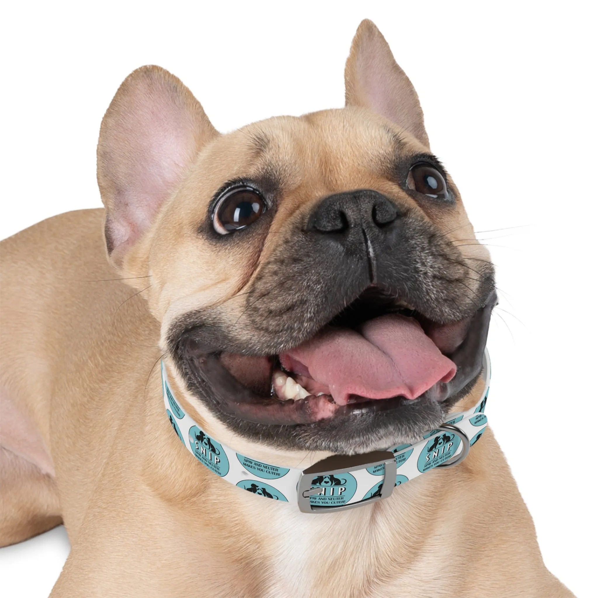 Snip Pattern - Dog Collar